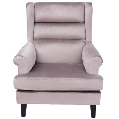 Loretta Armchair Mink Velvet Cushioned Ribbed Back - Image 4